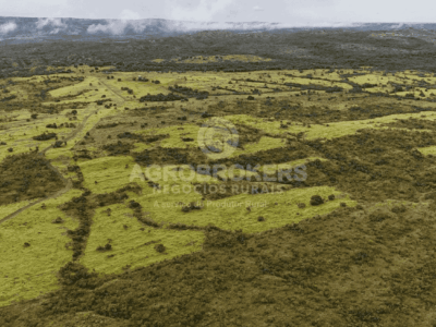 Fazenda à 100km de Cuiabá | 1.500ha | Alta Produtividade