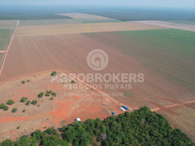 Fazenda em Sapezal/MT | 2.500ha | 58 Km da sede