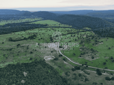 Fazenda Região de Cáceres/MT | 7.847ha | Capacidade para 4.500 cabeças de gado