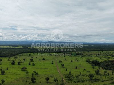 Fazenda a 37km de Cuiabá | 382ha | Pronta para Pecuária