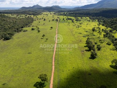 Fazenda em Cáceres | 14.200 ha | Lavoura e Pecuária