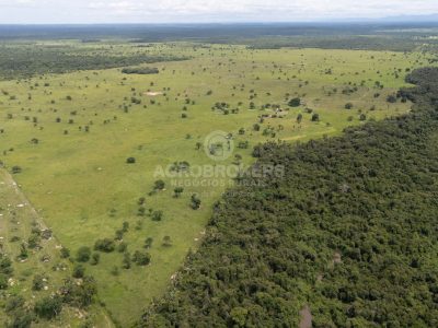 Fazenda á 38km de Cuiabá | 1.367ha | Pecuária