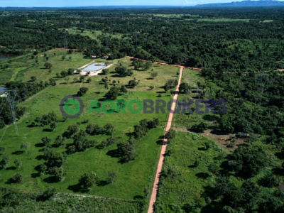 SÍTIO COMPLETO À VENDA – 17,5 HECTARES | REGIÃO DO CINTURÃO VERDE