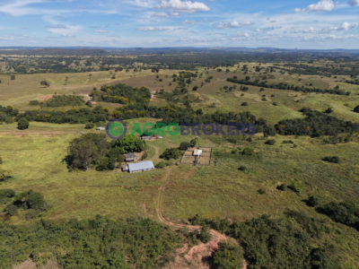 OPORTUNIDADE FAZENDA A 50 KM DE PRIMAVERA DO LESTE – MT